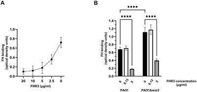 Role of factor H-related protein 3 in Pseudomonas aeruginosa bloodstream infections